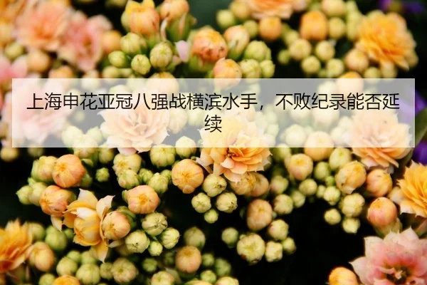 上海申花亚冠八强战横滨水手，不败纪录能否延续
